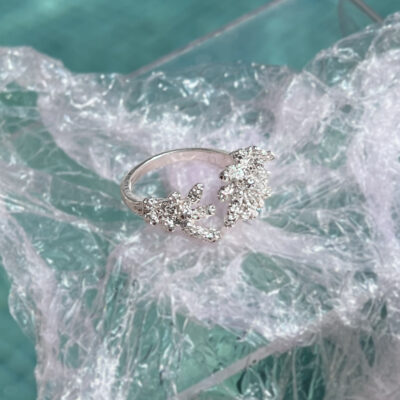 Anillo Koraller